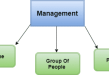 Introduction To Management