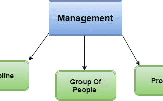 Introduction To Management