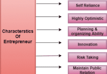 Characteristics Of Entrepreneur