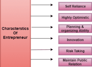 Characteristics Of Entrepreneur