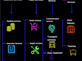 Classification Of Services