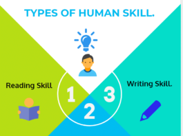 TYPES OF HUMAN SKILL FINAL