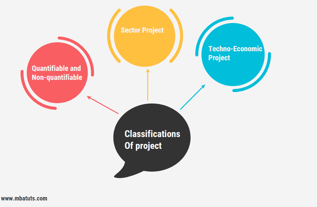 Project levels & its classifications