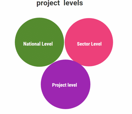 Project levels & its classifications