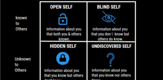 JOHARI WINDOW