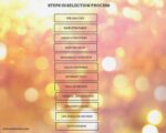 STEPS IN SELECTION PROCESS