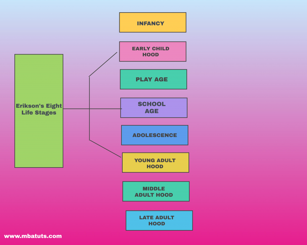 Erikson's Eight Life Stages