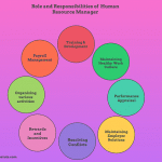 Role and Responsibilities of Human Resource Manager
