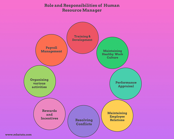 what are the functions of human resource development